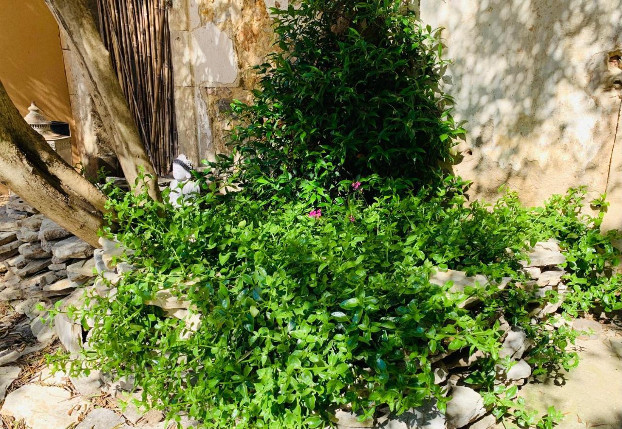 Appartement Avec Jardin Privatif Cazouls-les-Beziers Exterior photo