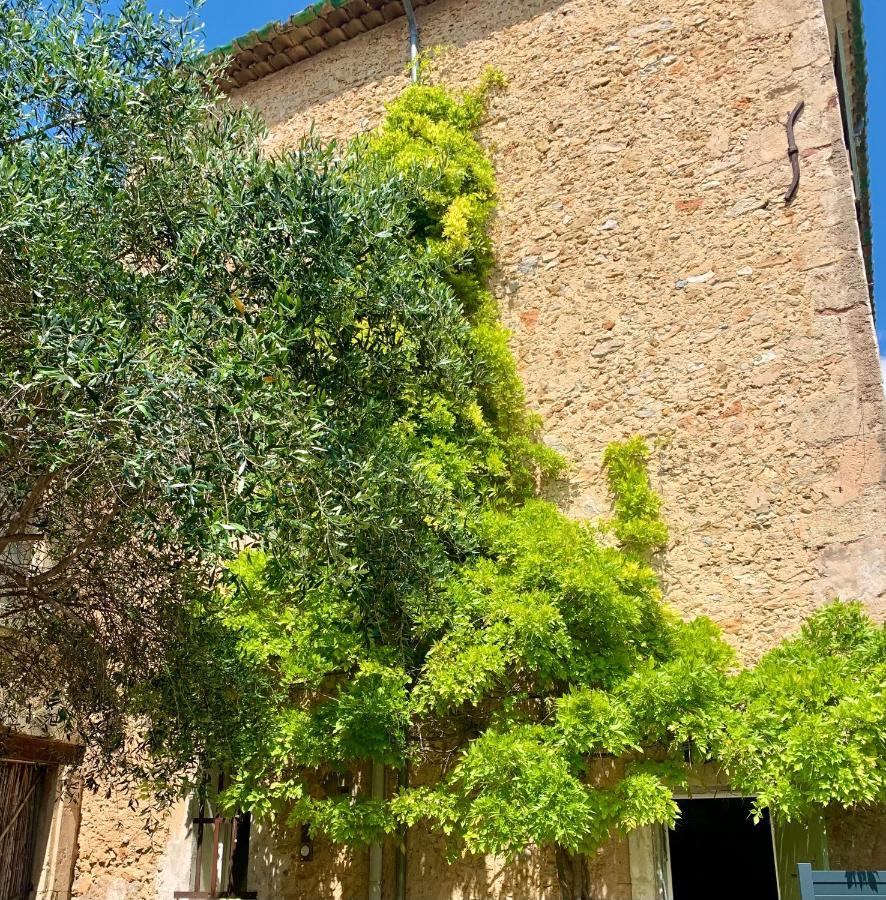 Appartement Avec Jardin Privatif Cazouls-les-Beziers Exterior photo